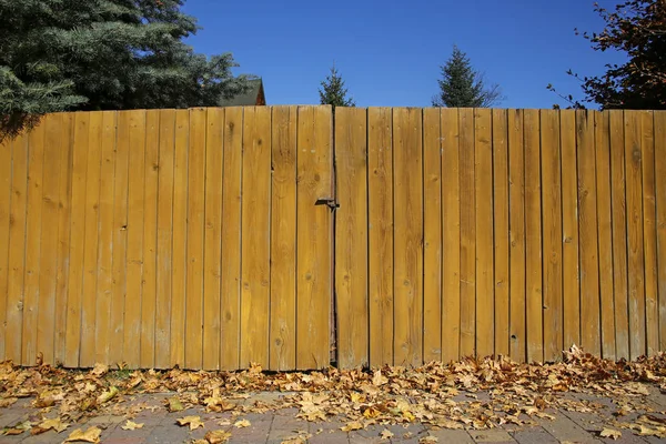 Puerta Madera Amarilla Paisaje Otoño — Foto de Stock