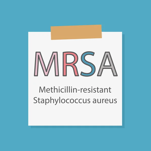 Mrsa Staphylococcus Aureus Resistente Alla Meticillina Scritto Quaderno Illustrazione Vettoriale — Vettoriale Stock
