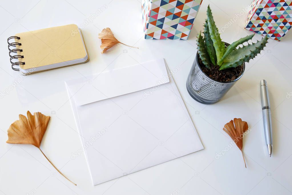 blank envelope with notebook, pen, cactus and ginkgo leaves on white table