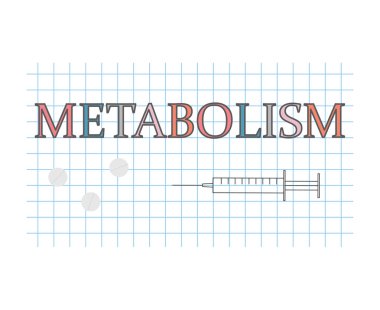 Kareli Kağıt levha-vektör çizim metabolizma söz