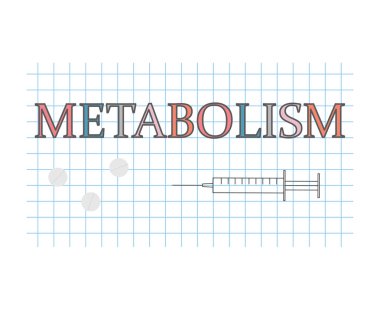 Kareli Kağıt levha-vektör çizim metabolizma söz