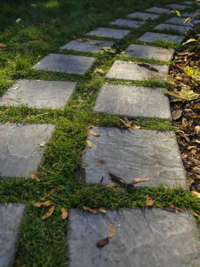 taş yol yeşil çim Bahçe