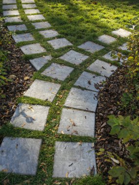 Bahçedeki taş patika