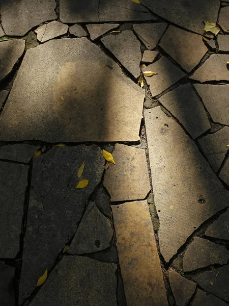 Outono Calçada Pedra Com Sombras — Fotografia de Stock