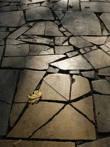 Осенний Каменный Тротуар Тенями — стоковое фото