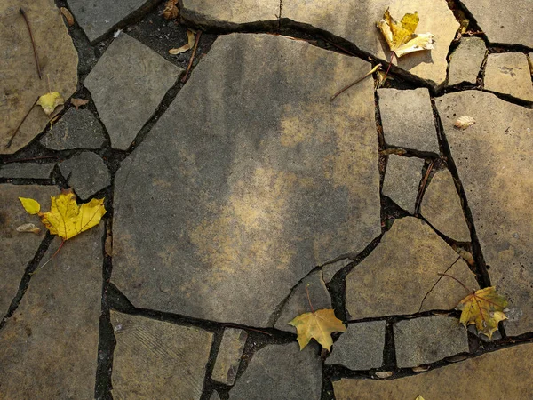 秋天树叶铺成的石路 — 图库照片