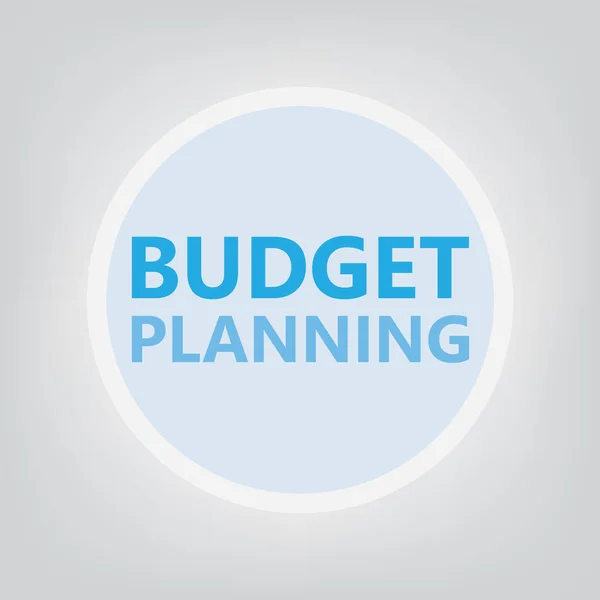 Concepto Planificación Presupuestaria Ilustración Vectorial — Vector de stock