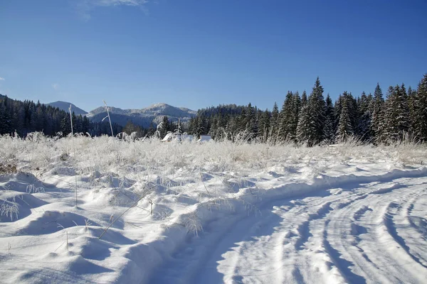 Güzel Kış Dağ Manzarası — Stok fotoğraf