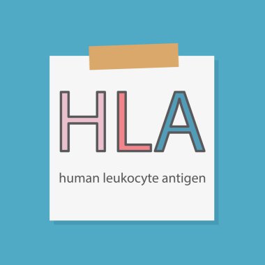Bir defter kağıt-vektör yazılı Hla insan lökosit antijeni 