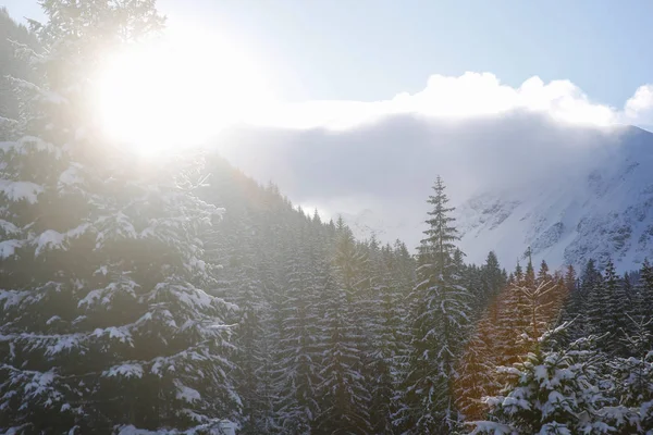 winter mountain peaks seen under the sun with lens flares