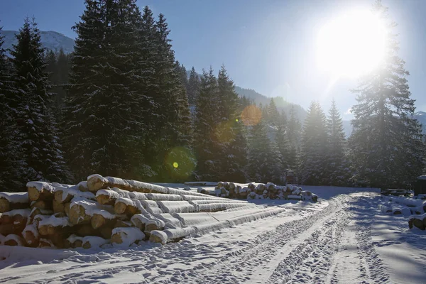 Güzel Kış Manzara Renkli Lens Fişekleri Tatra Dağları Ile — Stok fotoğraf