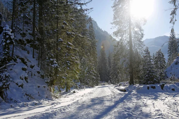 Güzel Kış Manzara Renkli Lens Fişekleri Tatra Dağları Ile — Stok fotoğraf