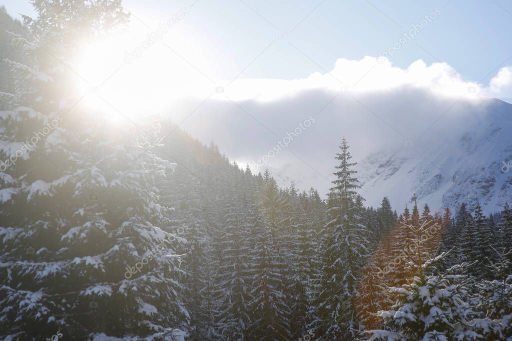 winter mountain peaks seen under the sun with lens flares