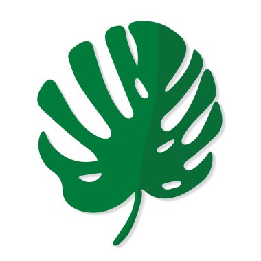 palmiye ağacı terk, Monstera tropikal bitki-vektör çizim