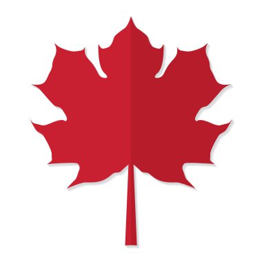 kırmızı akçaağaç yaprağı simge vektör çizim