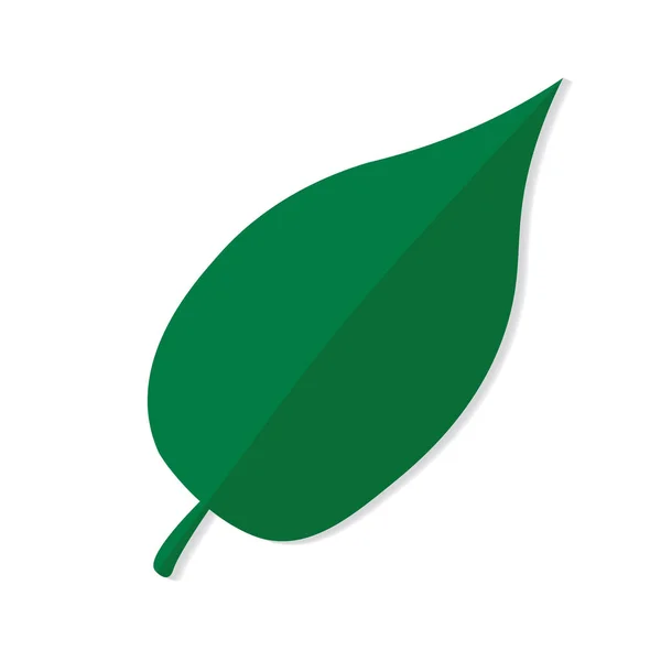 Yaprak Yeşil Simge Vektör Çizim — Stok Vektör