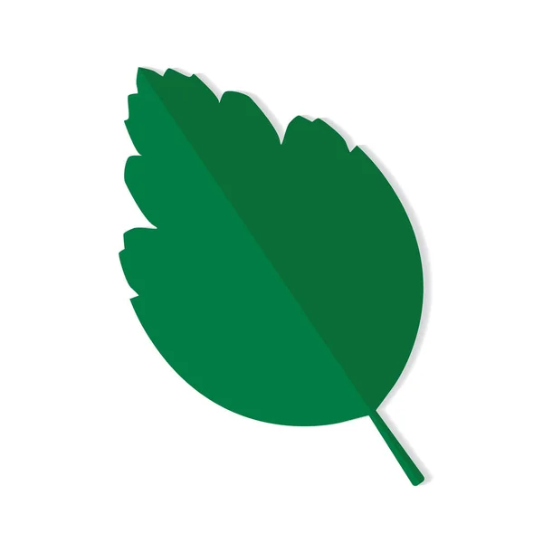 Folha Verde Icon Ilustração Vetorial — Vetor de Stock