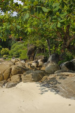 güzel tropikal plaj Lamai, Koh Samui, Tayland