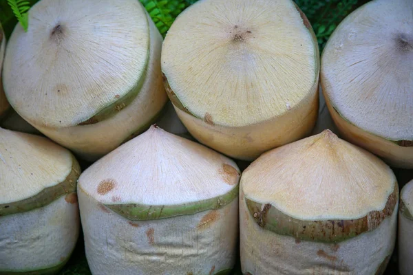 Coconuts at a street market in Bangkok, Thailand — Stock Photo, Image