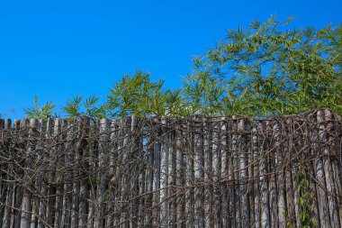 Bambu çit karşı mavi gökyüzü