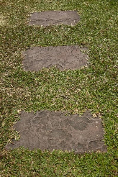 Steinweg im grünen Gras — Stockfoto