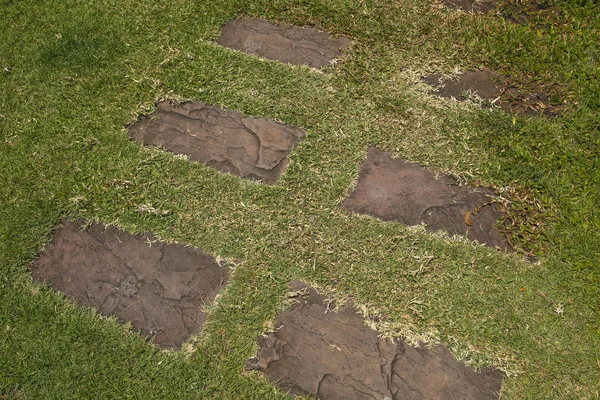 Кам'яна стежка в зеленій траві — стокове фото