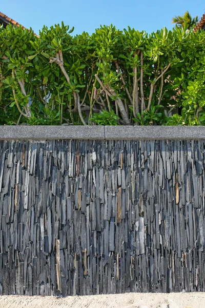 Деревянный забор и зеленая изгородь против голубого неба — стоковое фото