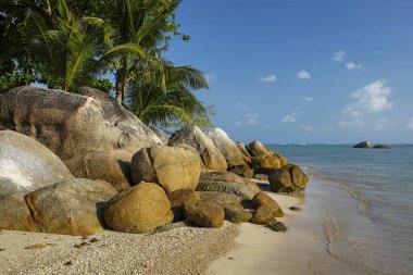 güzel tropikal plaj Lamai, Koh Samui, Tayland