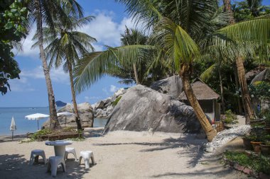 cennet tropikal plaj Koh Tao, Tayland