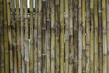 Bambu çit arka plan