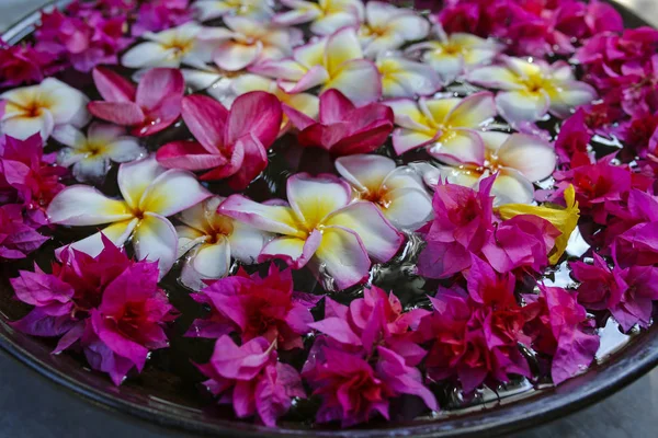 Farbenfrohe, schöne Blumen, die in einer Schüssel mit Wasser schwimmen — Stockfoto