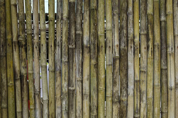 Bambu staket bakgrund — Stockfoto