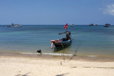 renkli longtail tekneler Mae Haad iskelede Koh Tao, Tayland oteller