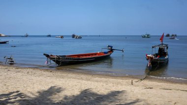 Koh Tao, Tayland - 24 Şubat 2019: renkli longtail tekneler Mae Haad Pier yakınındaki