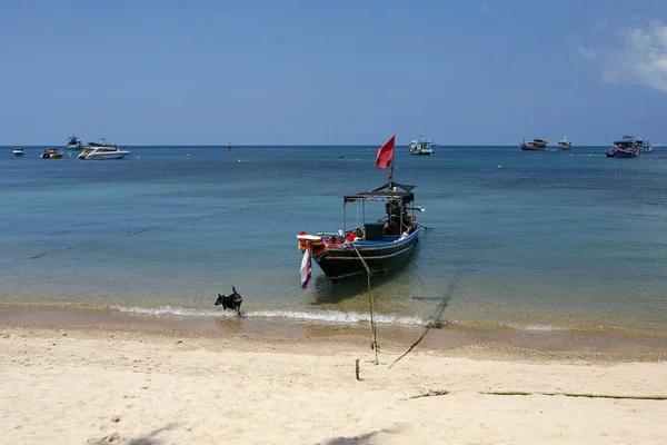 Coloridos barcos de cola larga cerca del muelle Mae Haad en Koh Tao, Tailandia — Foto de Stock