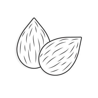 ham badem simgesi- vektör illüstrasyon