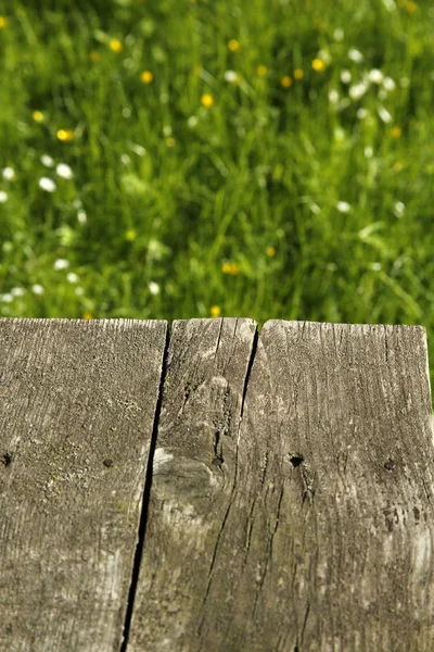 Oude houten planken en lente gras met madeliefjes — Stockfoto
