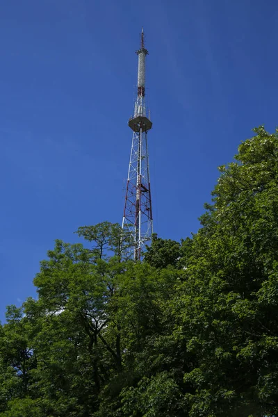 Антенна телекоммуникационной башни за деревьями — стоковое фото