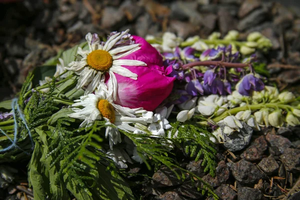 Fiori recisi appassiti sulla tomba — Foto Stock