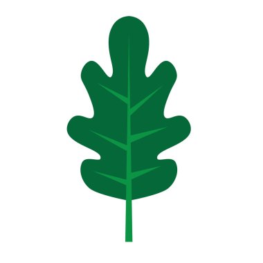yeşil meşe yaprağı simgesi- vektör illüstrasyon