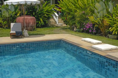 yüzme havuzu ve şezlong ile güzel tropikal bahçe