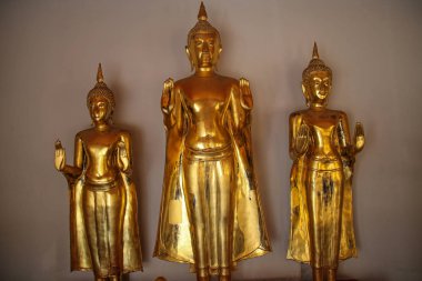Buda heykelleri ne pho, bangkok, thailand
