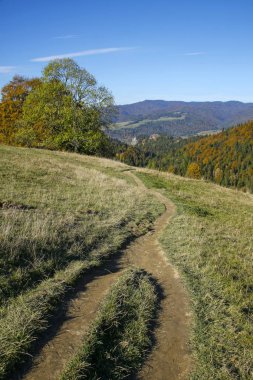 Pieniny Dağları 'ndaki dağ yolu, Szczawnica, Polonya