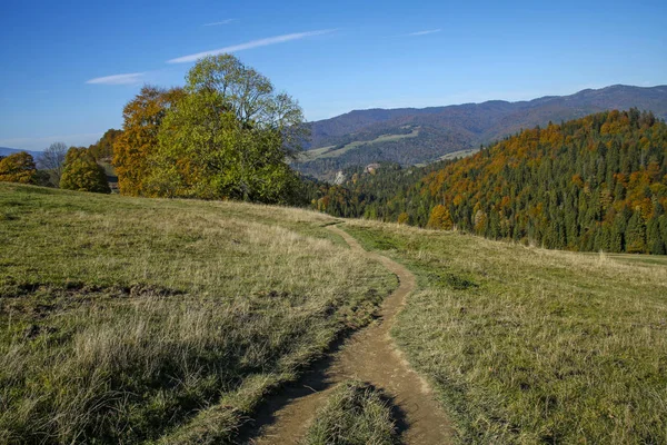 Bergsstig i Pieninybergen, Szczawnica, Polen — Stockfoto