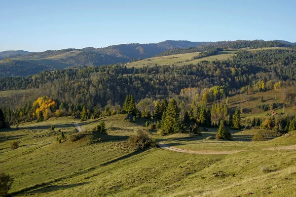 Извилистая горная тропа в горах Пенины, Щавница, Польша — стоковое фото