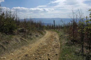 Güney Polonya 'daki Beskids Dağları' nda yol