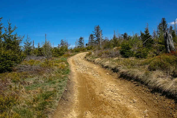 Pad Eiland Beskids Bergen Het Zuiden Van Polen — Stockfoto