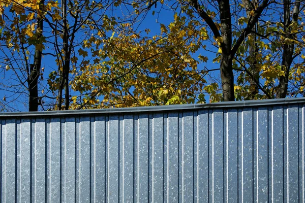 Herbstbäume Und Metallmauer — Stockfoto