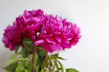 Güzel bir buket şakayık.