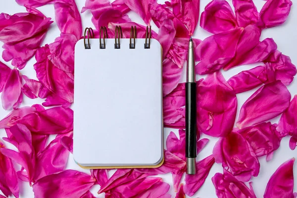 Composição Caderno Branco Com Caneta Bela Pétala Peônia Rosa — Fotografia de Stock